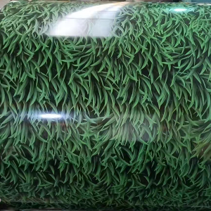 Color bobina de aceiro galvanizado prepintado verde